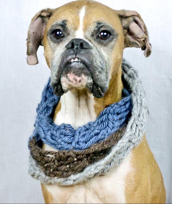 IamJashiel's tweet photo. Are you getting your pet some leftovers from our VALENTINES WEEKEND SALE!!
http://t.co/xA9vKllcCL http://t.co/ajIgdgcqbE