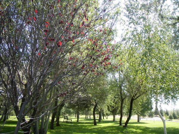 yasamverenkler's tweet image. İlkbahar geliyooor :)