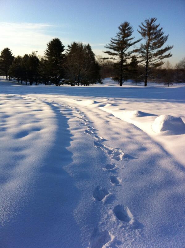 ActiveRunClub's tweet image. Snow run this morning after the storm outside Philidelphia!