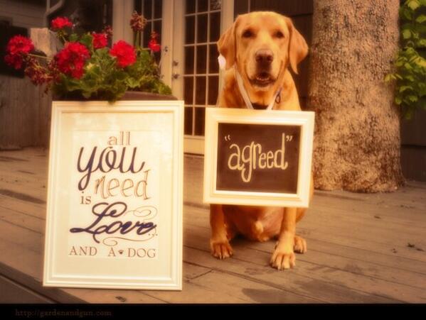 Muttsiah tweet picture