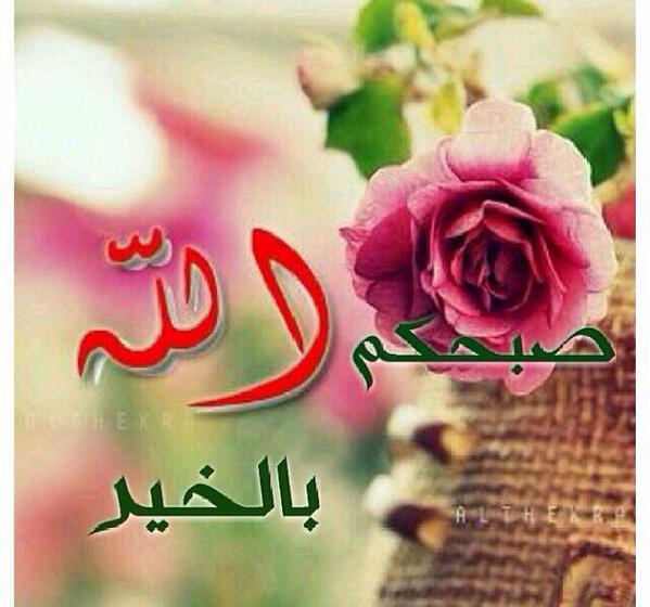 _alshamree tweet picture