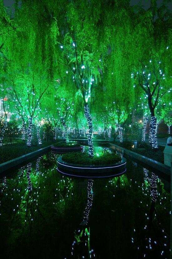Places247's tweet photo. Magic Forest in Shanghai http://t.co/4eFXjbEQSu