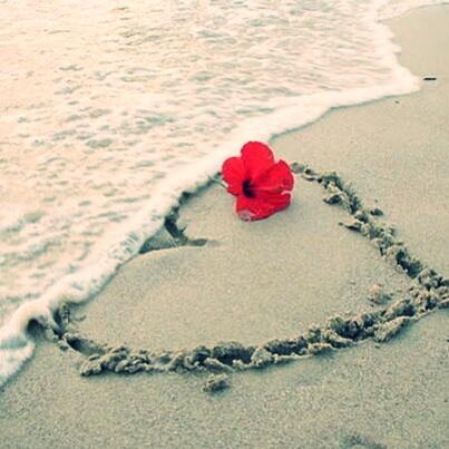 beachhousewines's tweet photo. Happy #ValentinesDay! Enjoy the beachhouse this weekend! http://t.co/MkGpS387Uu