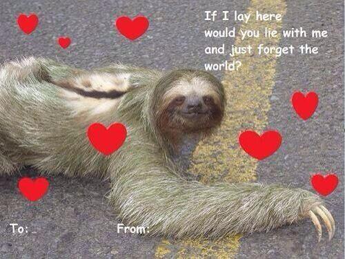 _allisonsexton's tweet photo. yes mr sloth http://t.co/djCpllgmiT