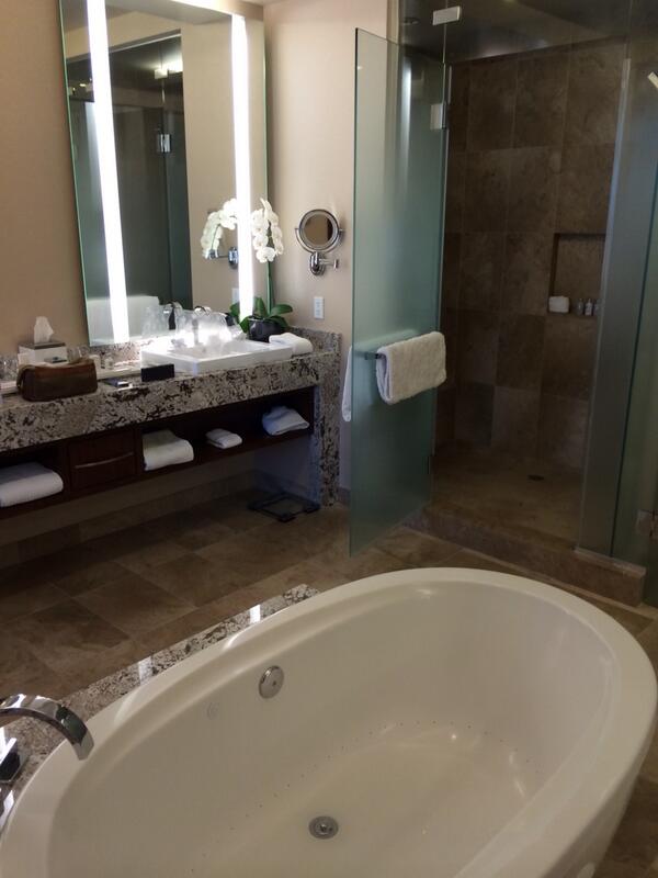 JohnACook's tweet image. Aria sky suites are sweet. See what I did there? #lyncconf