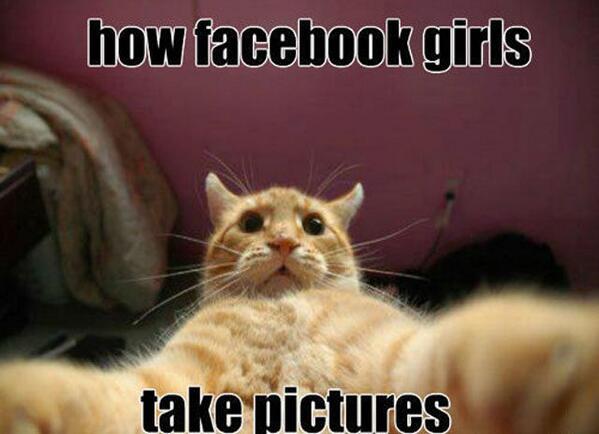 Animalsbe's tweet photo. Showing how it's done http://t.co/FiVm7slEY6