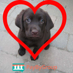 Photo by PayByGroup (@PayByGroup)