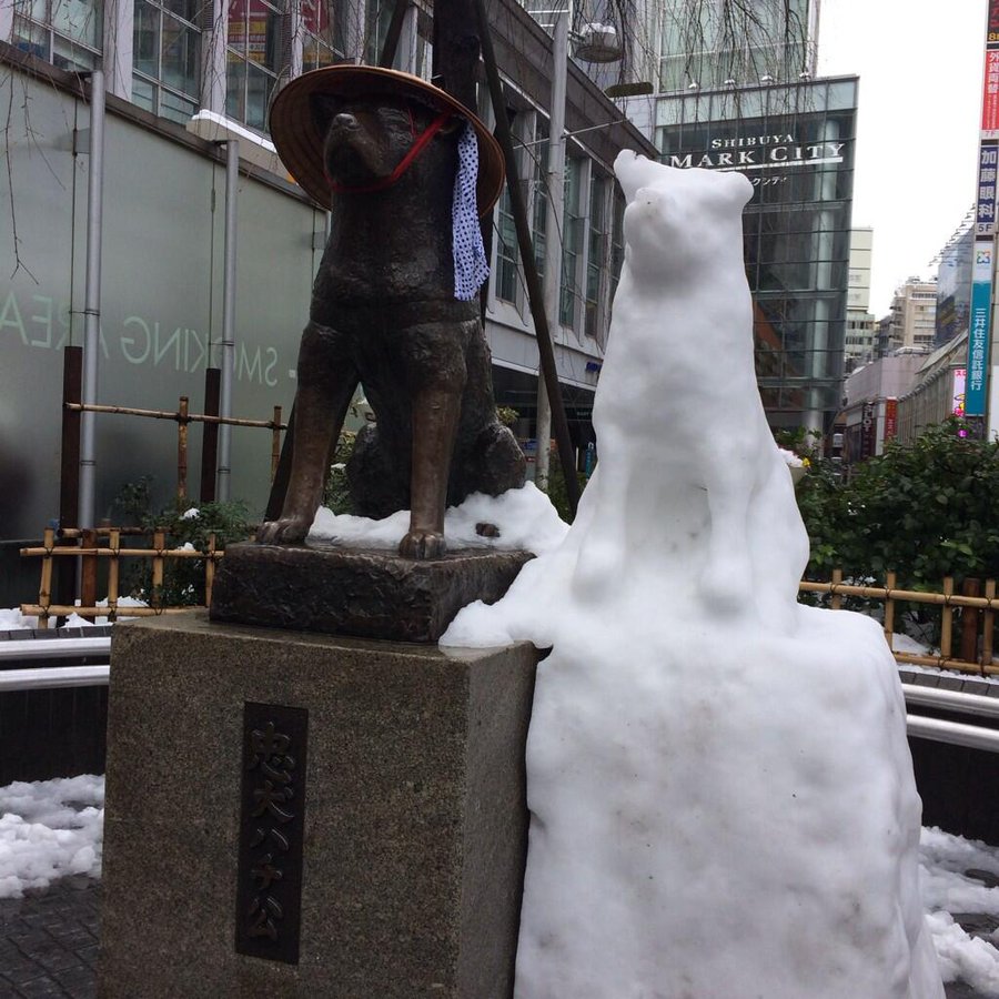 史実の忠犬ハチ公物語 やっぱり涙を誘われちゃう だってハチ公なんだもん Bushoo Japan 武将ジャパン