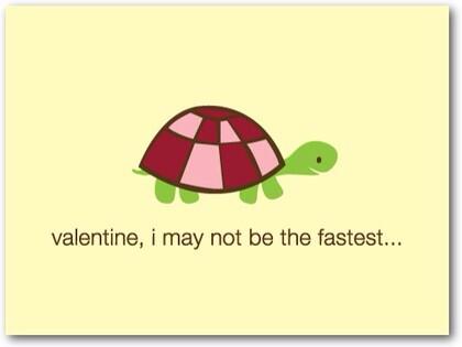 iLTurtlesDaily tweet picture