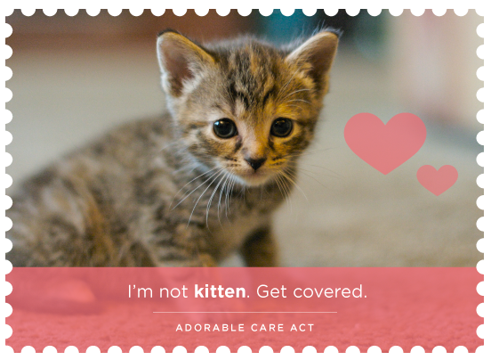 allontheline_ct's tweet photo. Share the @AdorableCareAct cuteness with your friends. http://t.co/sSPcOx5mqK #GetCovered http://t.co/TQ2lG0Jw2w