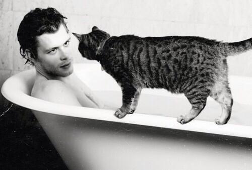 "Who owns this cat? Why is it in my bathroom?"