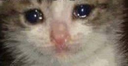 Andro Troncoso (@androttm) on Twitter photo 