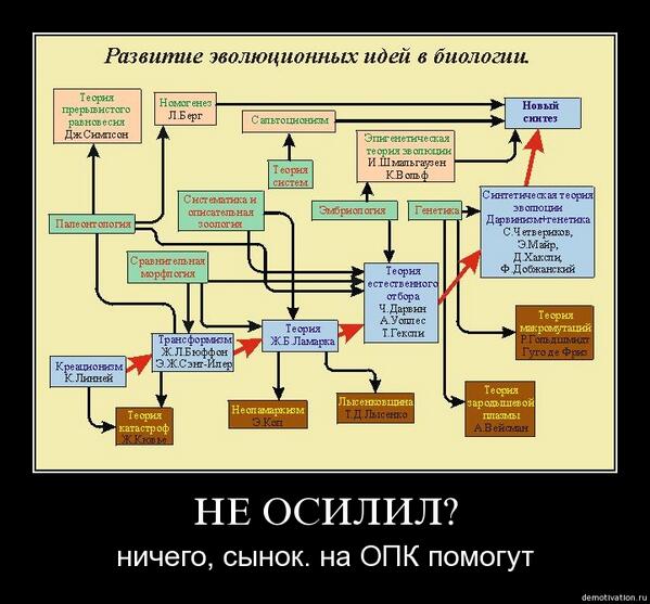 Ваш сын ничего не знает дневник. Ничего сынок. Я ничего не смогла придумать. Плюгавенький. Статусы про лайки.