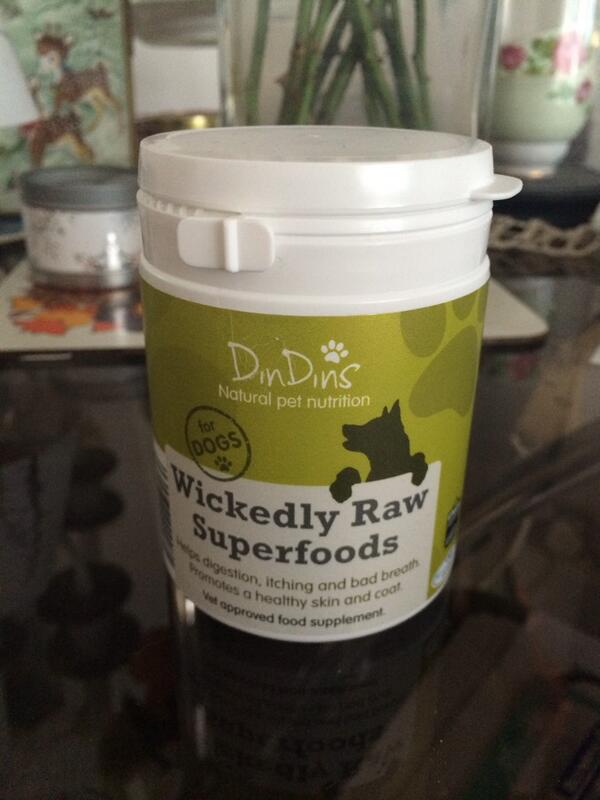 dogfriendlyblog's tweet photo. Betsy's looking forward to trying out her new superfood supplement from @DinDinsPets. Blog post coming soon! http://t.co/9oeSSvCd4U