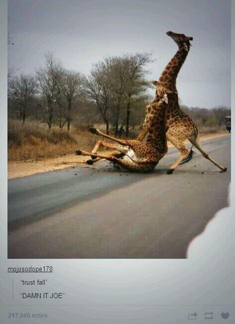 Last night went down like this... <a href="/ann_ie_ka/">Annieka Mostert</a>