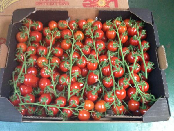 Runcton Farm Shop tweet media