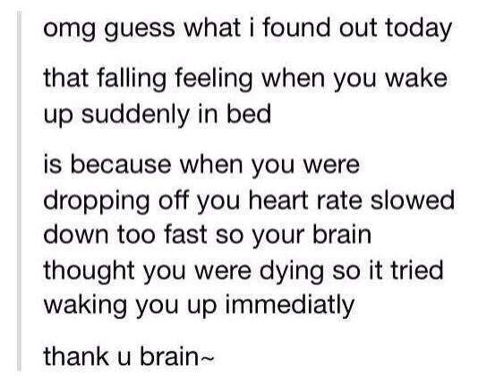 Stumbler Videos (@stumblervideos) on Twitter photo 