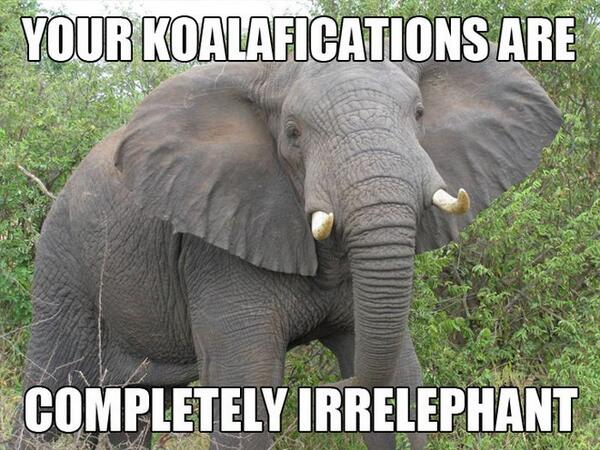 Animalsbe's tweet photo. http://t.co/F1HCu6BtDR