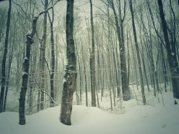 Doidriveajeep's tweet photo. #ridin'inajeep #snowridin #wrangler #jeepserwhere #wood #jeepbeef #orn #jeep #jeepporn #4x4 http://t.co/XM0N2VDBPV