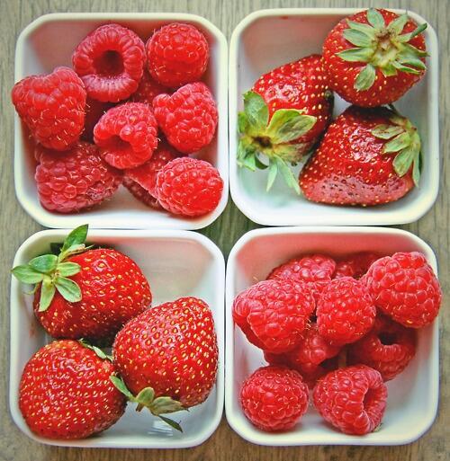 NatureliteTweet tweet picture