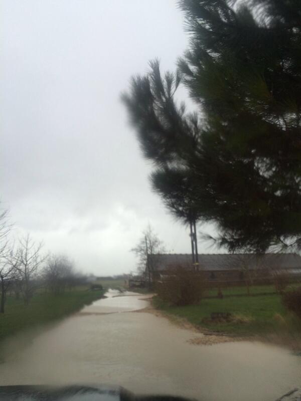 BespokeService's tweet image. Can't wait for the summer !