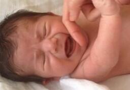 hatun_leyla's tweet photo. Bir prens daha geldi http://t.co/XZdWK7wEd9