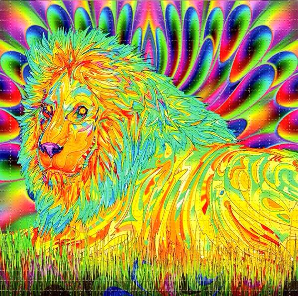 Str8CheerProbs's tweet image. I'm a trip.