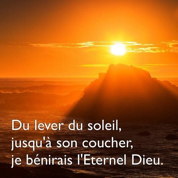 La Bible tweet media