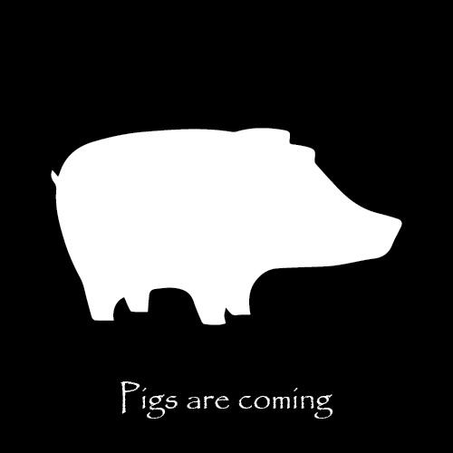 The Next Pig Thing tweet media