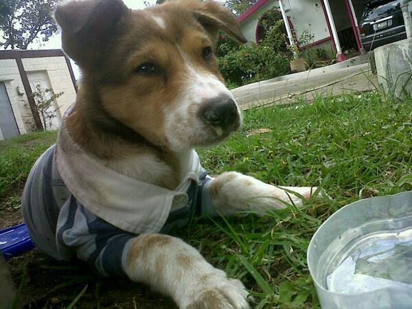 DaysiLemus's tweet photo. Te extraño http://t.co/CII2pcXlrZ