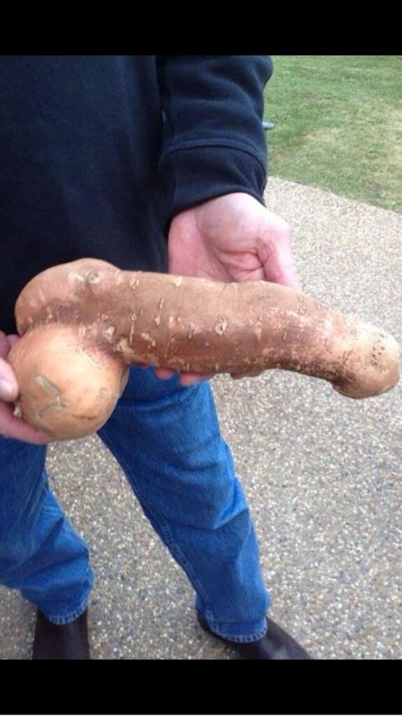 thejamesmax's tweet photo. That is truly magnificent! >> RT @Henry_Leon: @thejamesmax  one for you rt "@amandaboers: Sweet potato anyone? http://t.co/nx9zeAu1QB"
