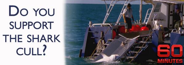 ChiksRockk's tweet photo. "@PParzival: RT @_Einatmen RT @TinaIamright5 RT Do You... http://t.co/YDHA1WsDQd #EndSharkCull"