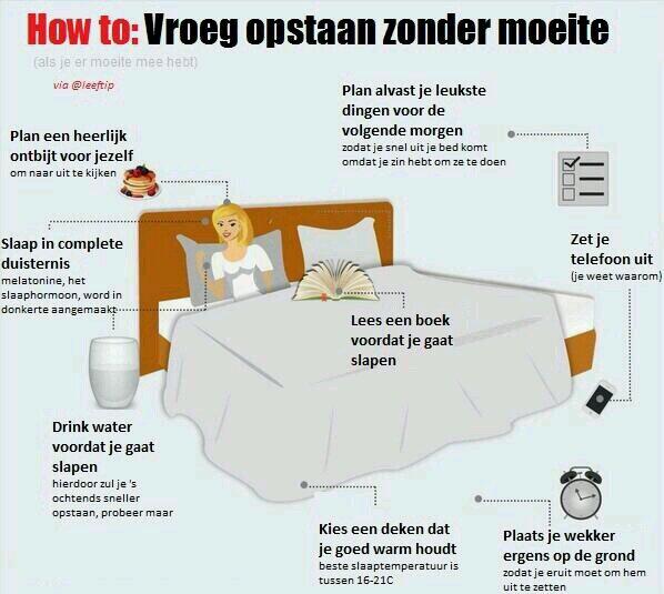 Weetjes tweet media