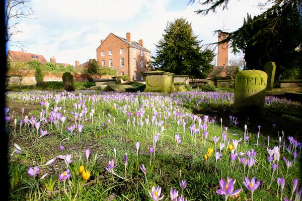 But nice to see these guys out :)))