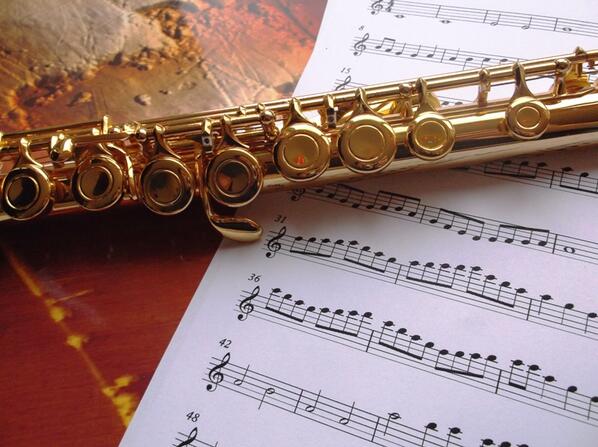 JamesRSmith's tweet photo. Free CD: #Microscope #images interpreted into #music http://t.co/wyfJTbicn2 @JacquiSmithMus #SciWeek #flute http://t.co/bx1Rd4tuxF