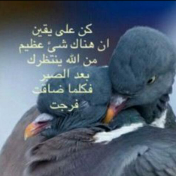 f33377461's tweet photo. http://t.co/yGATrUGlnE