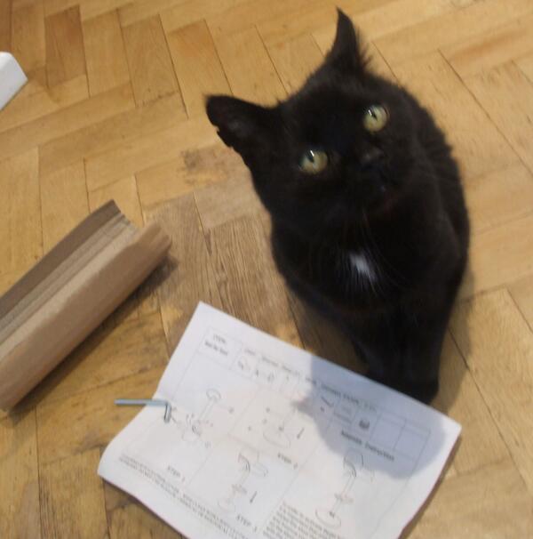 My cat is sad because I went to the pub and left him to assemble our flatpack furniture alone.