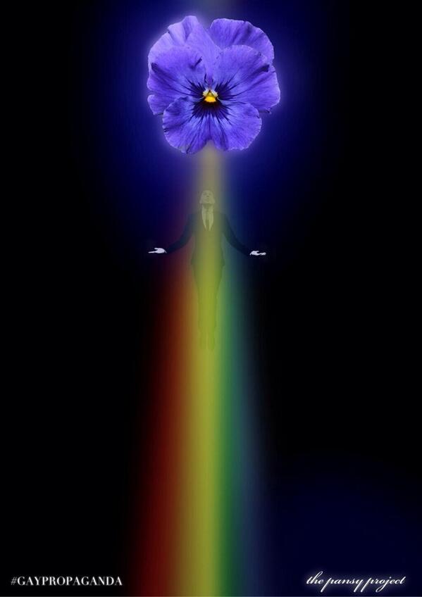 ThePansyProject's tweet photo. This for Pansy Lovers Everywhere...
#GAYPROPAGANDA http://t.co/csvpOxcn23
