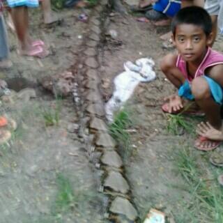 Ardeka9 tweet picture