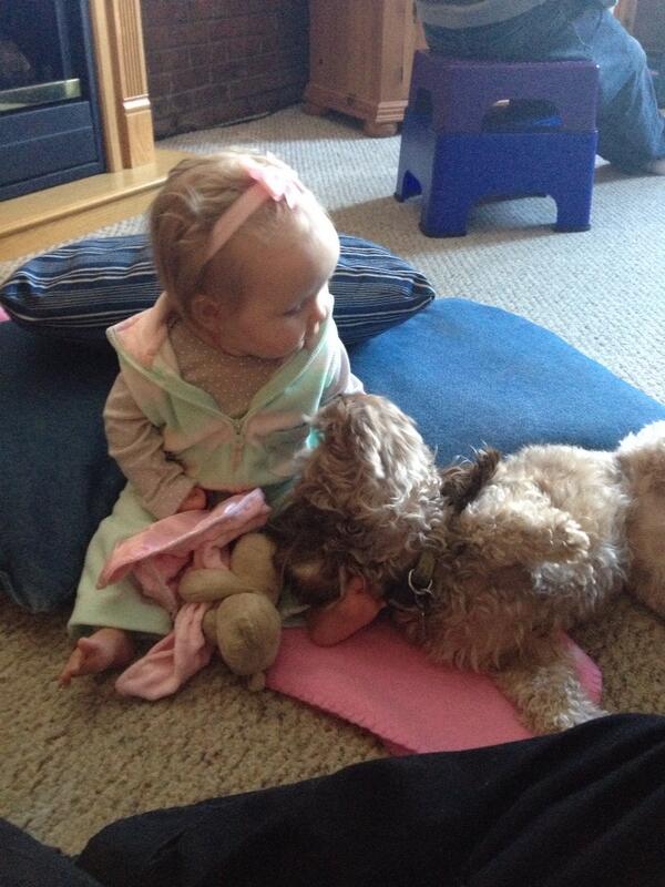 lauraj64's tweet photo. Bella and Bayley. Awes http://t.co/bH6tc4ED90
