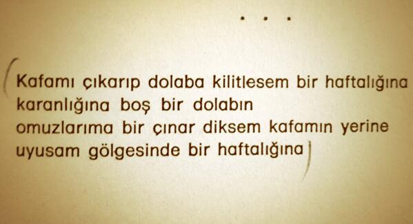 iremnur zahir tweet media