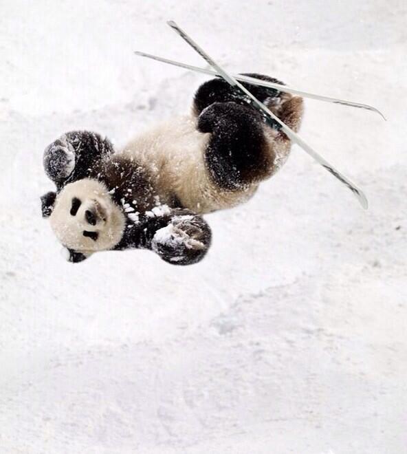 Deorro's tweet photo. Yooooo en las olimpiadas http://t.co/1m0OHr3hfx
