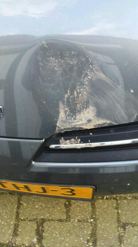 MarkCobussen's tweet photo. “@jeanetbos tweet: nacht za op zoLange Riet: Wie heeft wat gezien autospiegels eraf getrapt deuken in auto getrapt  http://t.co/2vZahlEyXO”
