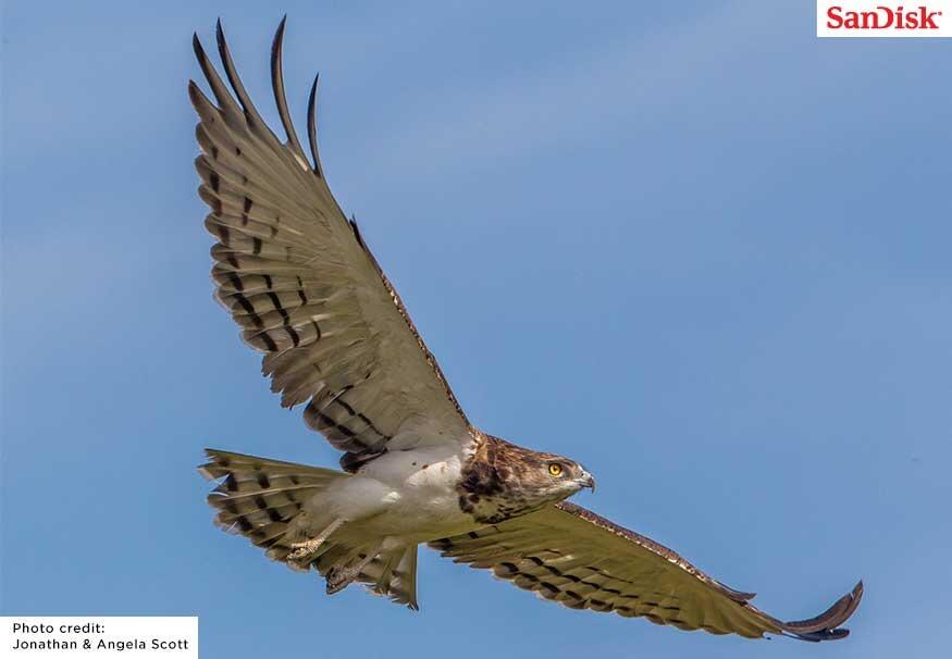 Embedded image permalink