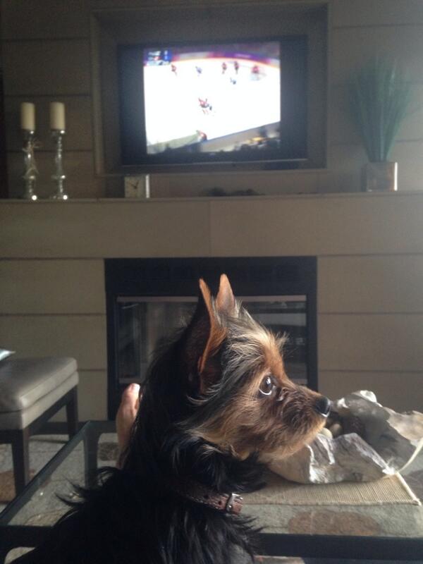 JaceMunro's tweet photo. Watching Canada game with my best bud http://t.co/zZ2ZGCW1qr