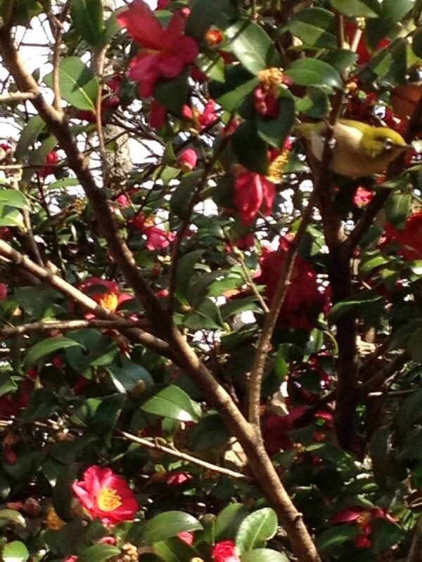 0241117 tweet picture