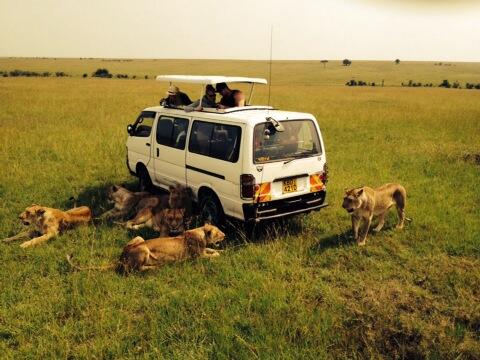 MarcColl77's tweet photo. Amazing Africa! http://t.co/jDhDpqFnVP
