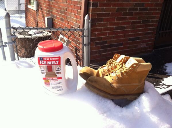 krnbread's tweet image. Men's best friend in ohio