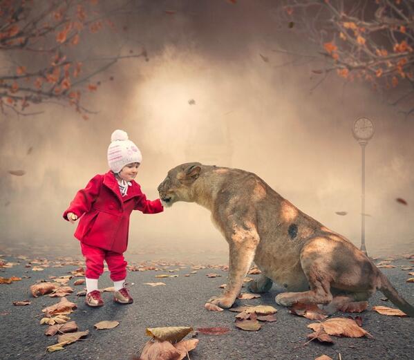 Küçük kediciğin mama zamanı "