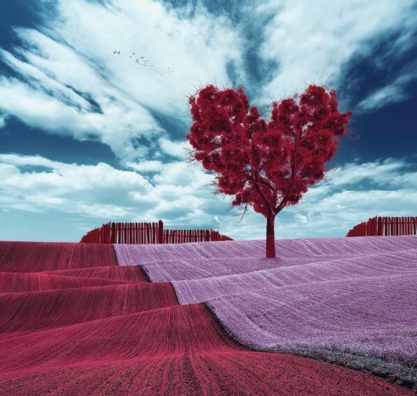 kalp ağacı  photoshop ;) "